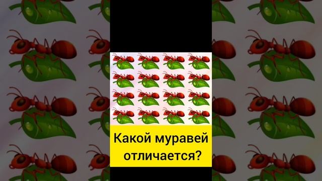 Тест на внимательность смотреть онлайн
