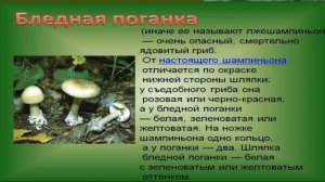 Природа и наша безопасность Окружающий мир 3 класс