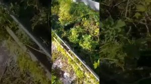 Как грядки сделать