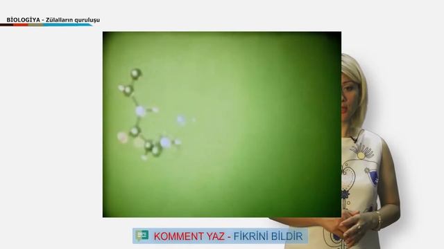 Zülal. Zülalların quruluşu. Amin turşuları. ATF. Biologiya смотреть онлайн