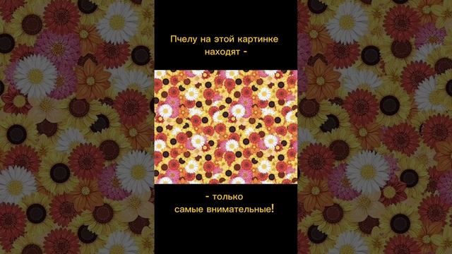 Тест на внимательность смотреть онлайн