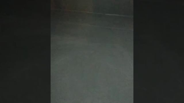 29 декабря 2019 г. смотреть онлайн