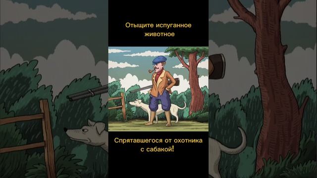 Тест на внимательность смотреть онлайн