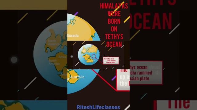 When India was in AFRICA #riteshlifeclasses #amazingfacts #funfacts #studyisfun смотреть онлайн