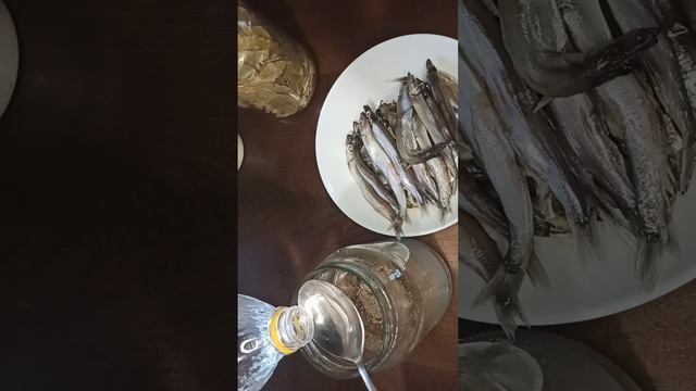 Кулинария И Садоводство