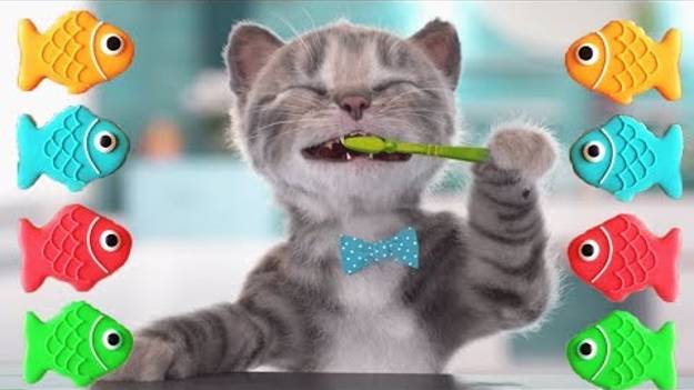 Веселый детский мультик игра про домашнего котёнка - Little Kitten on android- Обучающие смотреть онлайн