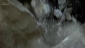 Выжить любой ценой 5 сезон 2 серия «Северная Австралия» (документальный сериал, 2006)