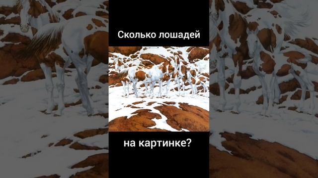 Тест на внимательность смотреть онлайн