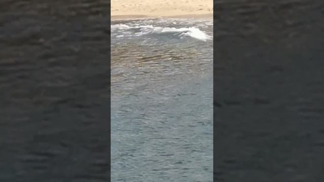 Море тоже говорит. Стихи. Эстэр. смотреть онлайн