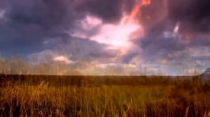 Ах ты, степь широкая HD