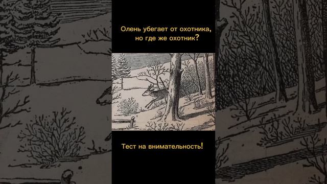 Тест на внимательность смотреть онлайн