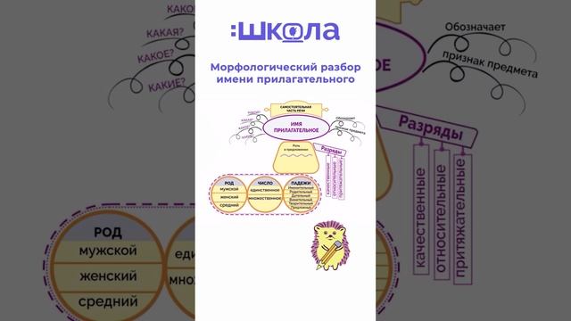 морфологический разбор имени прилагательного 1 часть смотреть онлайн