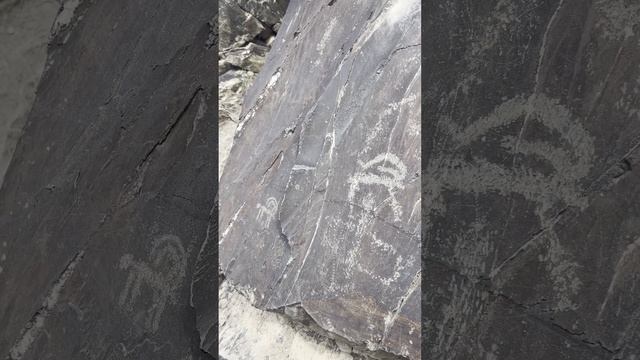 Сармиш-сай #dreamway #путешествие #travel #отдых #туризм #shortsvideo #short #Узбекистан #питроглифы смотреть онлайн