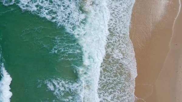 Экосистема MIRMAX