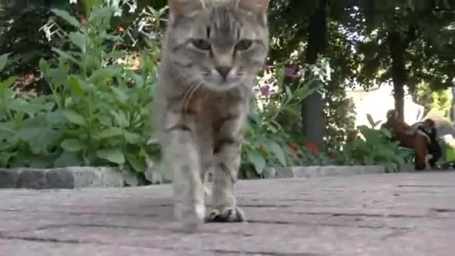 Лестница 514 Экологическая смотреть онлайн