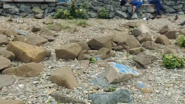 Море.Площадь. Чайки🌊 смотреть онлайн