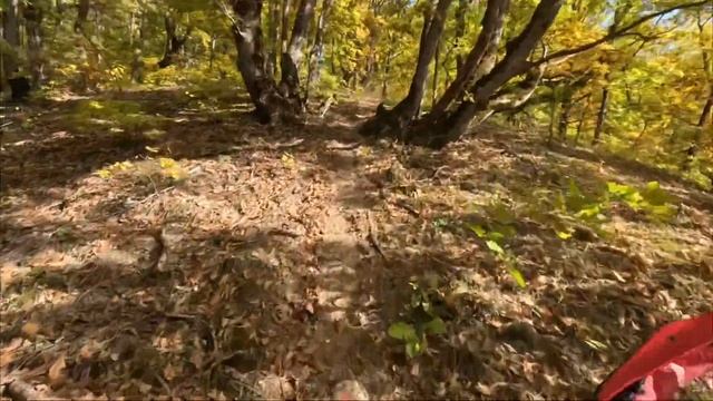 27 октября 2024 г.