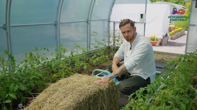 ЗАДЕЛ ДЛЯ БОГАТОГО УРОЖАЯ: КАК УБЕРЕЧЬ РАСТЕНИЯ ОТ ЖАРЫ И ЗАЩИТИТЬ ОТ БОЛЕЗНЕЙ смотреть онлайн