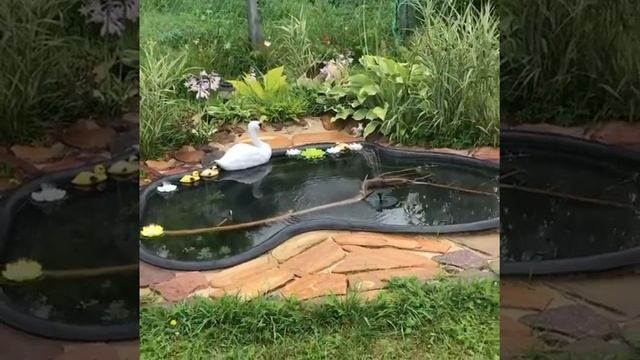 FONSUN - фонтаны на солнечной батарее смотреть онлайн