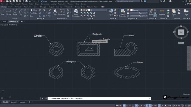 17 - Creating Managing Leaders