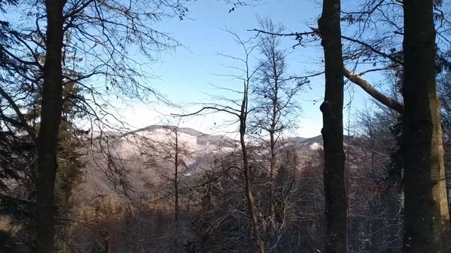 Поход на Менчелик, Киндрат 1156 м с села Тухля смотреть онлайн