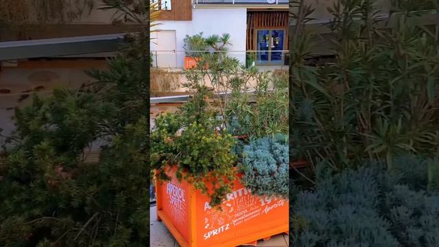 Самый красивый шортс #lifestyle #весна #весна2023 #море #сочи смотреть онлайн