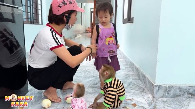 Monkey Kaka and Monkey Mit cry when eating onions смотреть онлайн