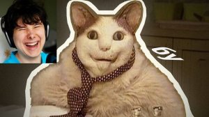 БУ ИСПУГАЛСЯ НЕ БОЙСЯ в КОНДИЦИИ + ГИПНОДЕНС — ОТКУДА МЕМ_