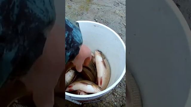 Рыбалка удалась. смотреть онлайн