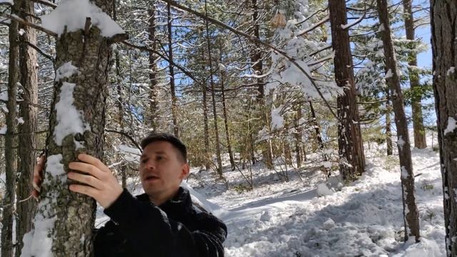 Promo Vyacheslav Gryaznov GPS смотреть онлайн