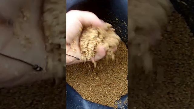 Снова о прикормке для донки. смотреть онлайн