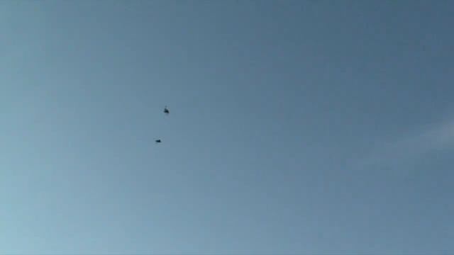 посадка голубей, pigeons landing, flying pigeons смотреть онлайн