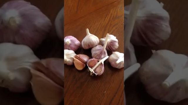 Чеснок Любаша смотреть онлайн