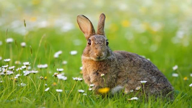 6 выпуск смотреть онлайн