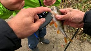 ВОБЛЕР ПРОТИВ ДЖИГА