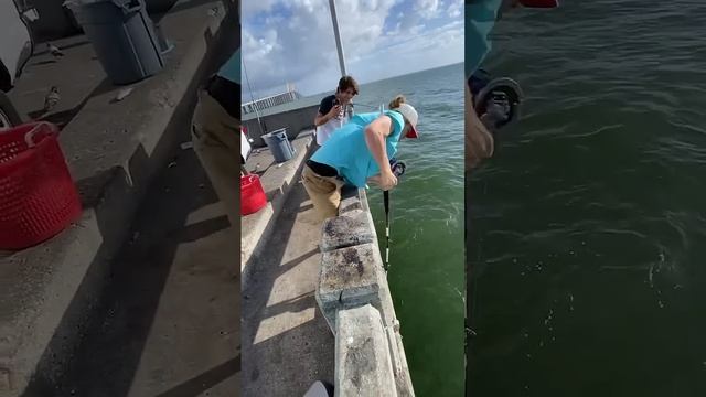 Эта удочка заслуживает медали. смотреть онлайн