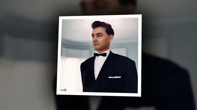 Family tree (genealogy) смотреть онлайн