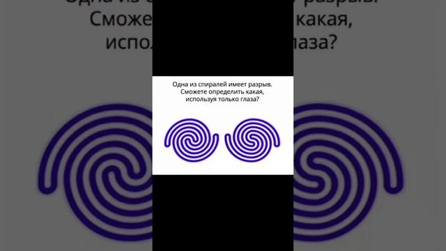 Тест на внимательность смотреть онлайн