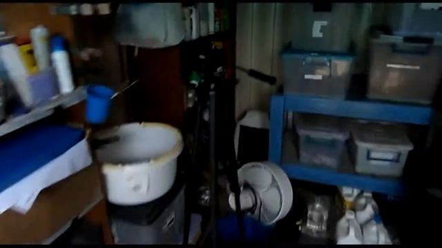 Orchids Down Under смотреть онлайн