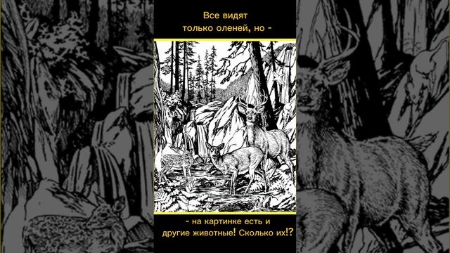 Тест на внимательность смотреть онлайн