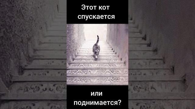 Тест на гениальность твоего мозга смотреть онлайн