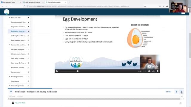 Overview and benefits of the AMR Vet Collective with Dr Rod Jenner смотреть онлайн