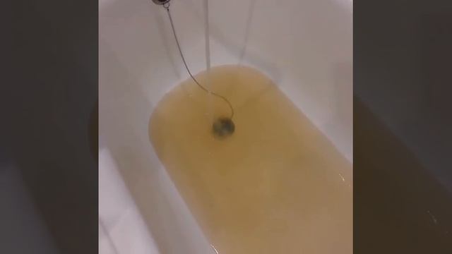 Ржавая вода из кранов жителей Кисловодска смотреть онлайн