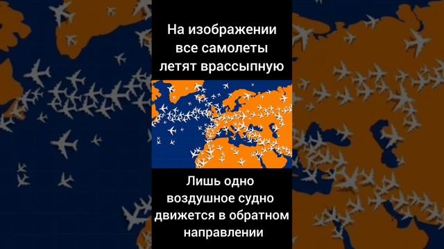 Тест на внимательность смотреть онлайн