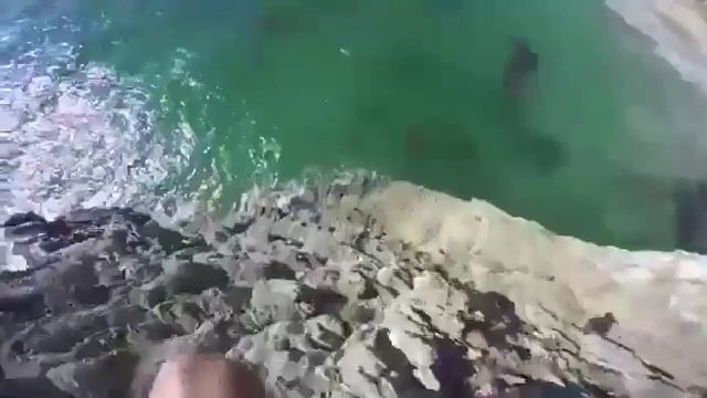 webm смотреть онлайн