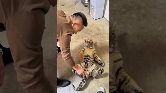 Подпишись на Нас для тебя это пустяк, а нам будет очень приятно смотреть онлайн