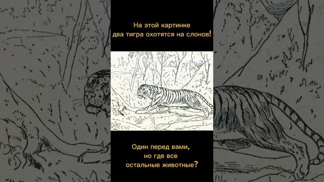 Тест на внимательность смотреть онлайн