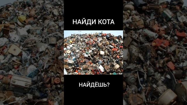 Тест на внимательность смотреть онлайн