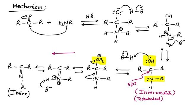 Aldehyde Ketone 23 I Imine Formation I Optimum PH I Primary amine I Reactions of amine I PH 4.5 смотреть онлайн