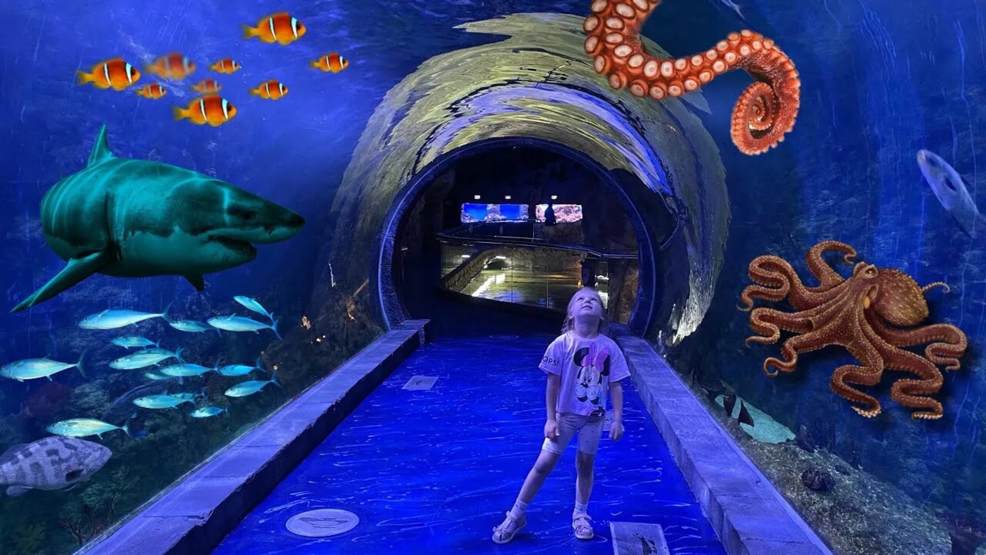 Крокус Сити Океанариум смотреть онлайн